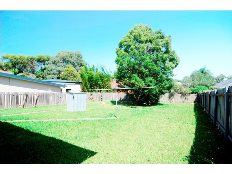 19 Montgomery Street, Miranda NSW 2228