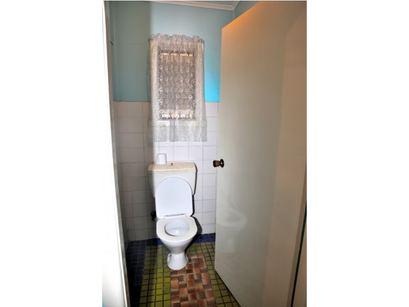 29 Ferngrove Road, Canley Heights NSW 2166