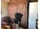 Warwick Farm NSW 2170