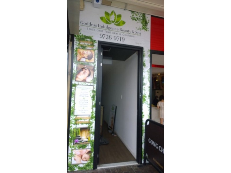 Canley Vale NSW 2166