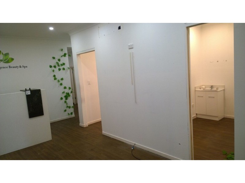 Canley Vale NSW 2166