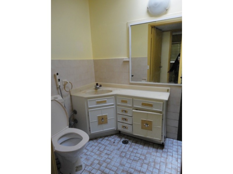 Canley Vale NSW 2166