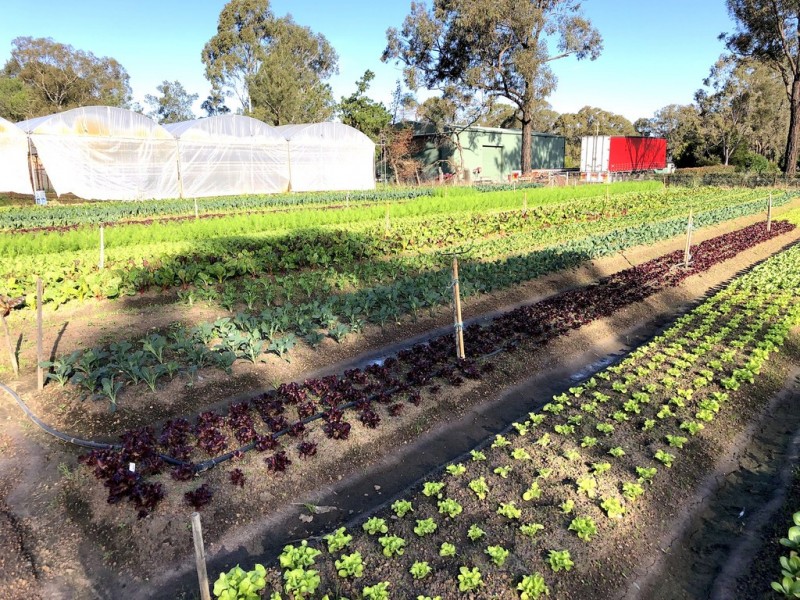 Londonderry NSW 2753