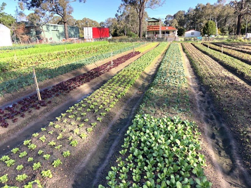 Londonderry NSW 2753