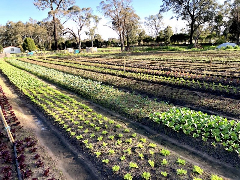 Londonderry NSW 2753