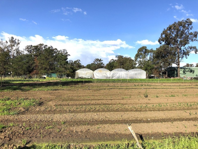 Londonderry NSW 2753