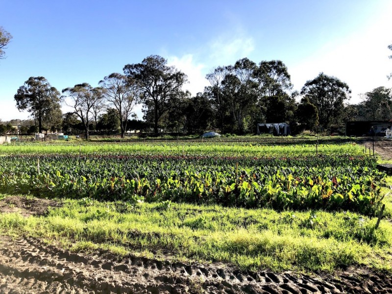 Londonderry NSW 2753