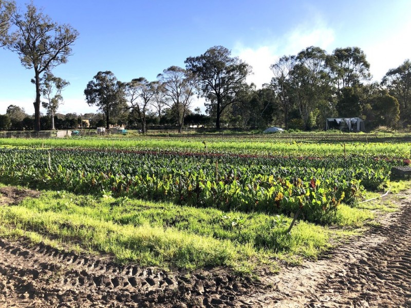 Londonderry NSW 2753