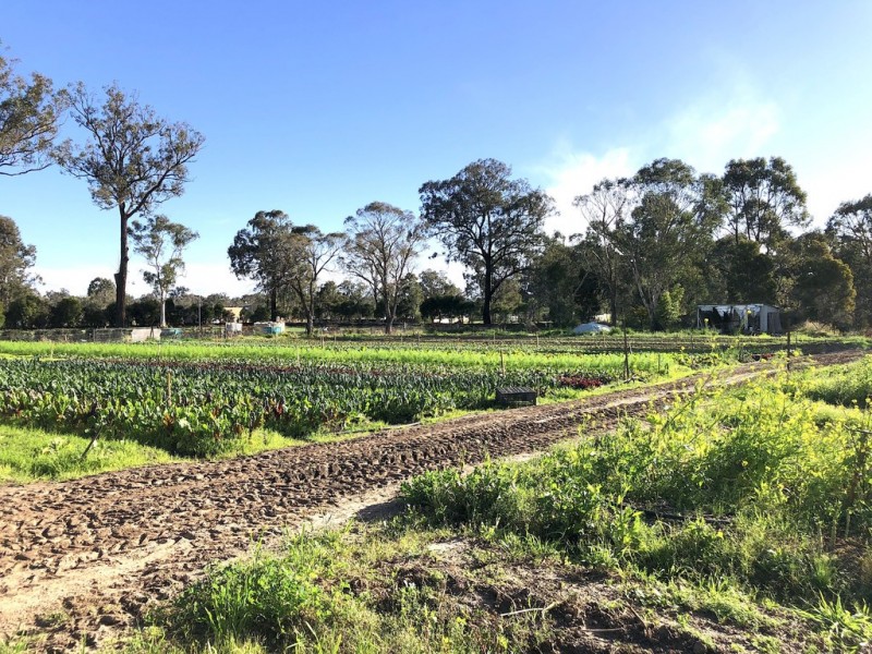 Londonderry NSW 2753