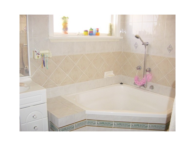 Canley Vale NSW 2166