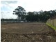 Hinchinbrook NSW 2168