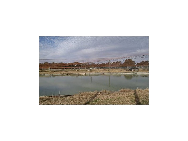 Bringelly NSW 2556