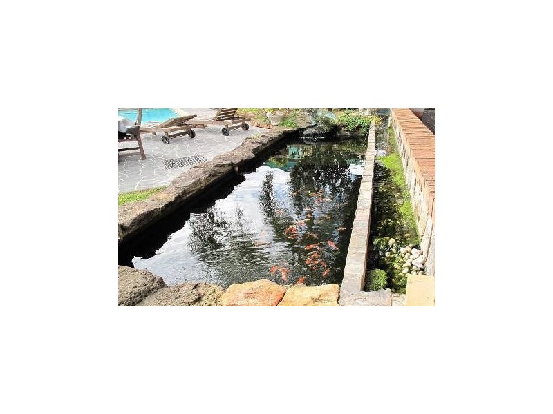 Bringelly NSW 2556