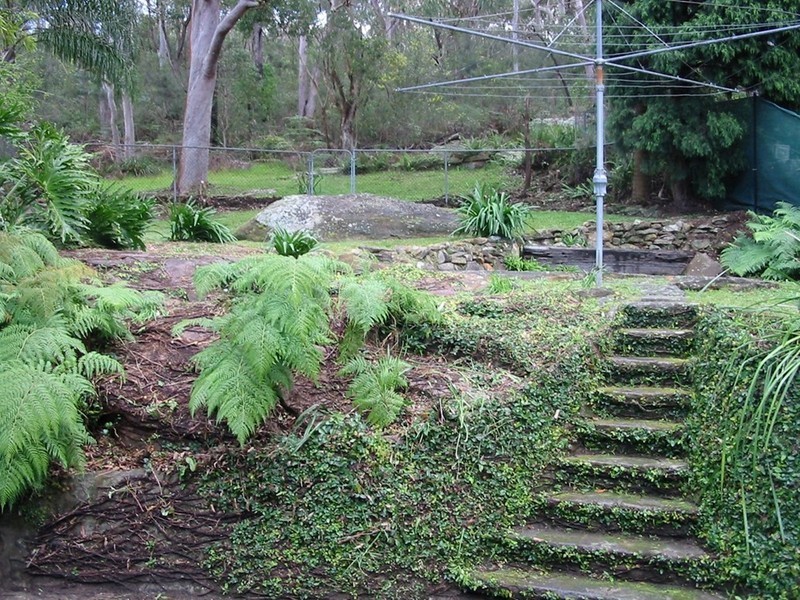 44 RIVER AVENUE, Chatswood West NSW 2067