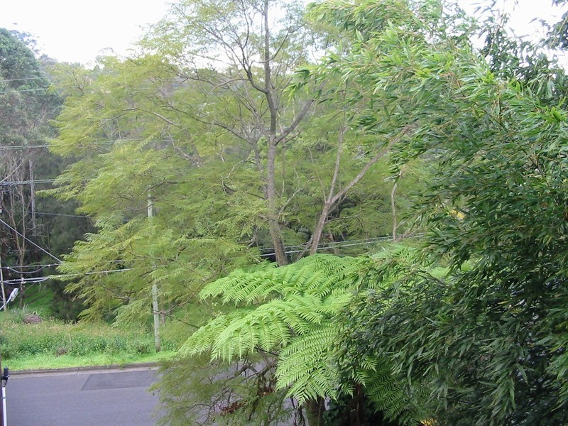 44 RIVER AVENUE (Chatswood West), North Ryde NSW 2113