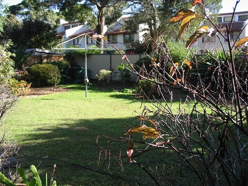 12 WHITTON ROAD, Chatswood NSW 2067