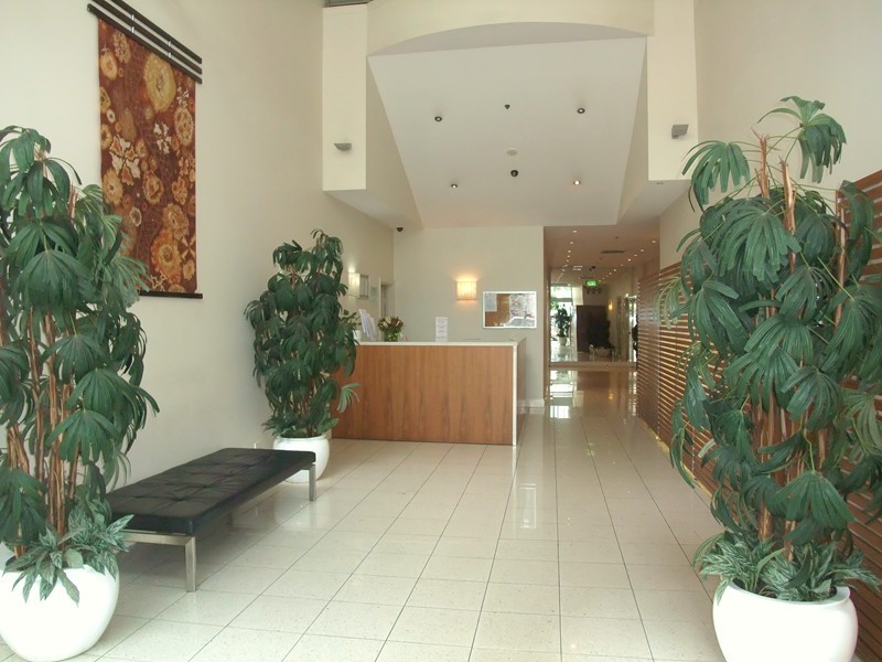 84/14  BROWN STREET, Chatswood NSW 2067