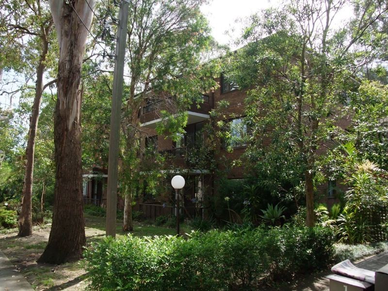 7/143 Sydney Street, Willoughby NSW 2068