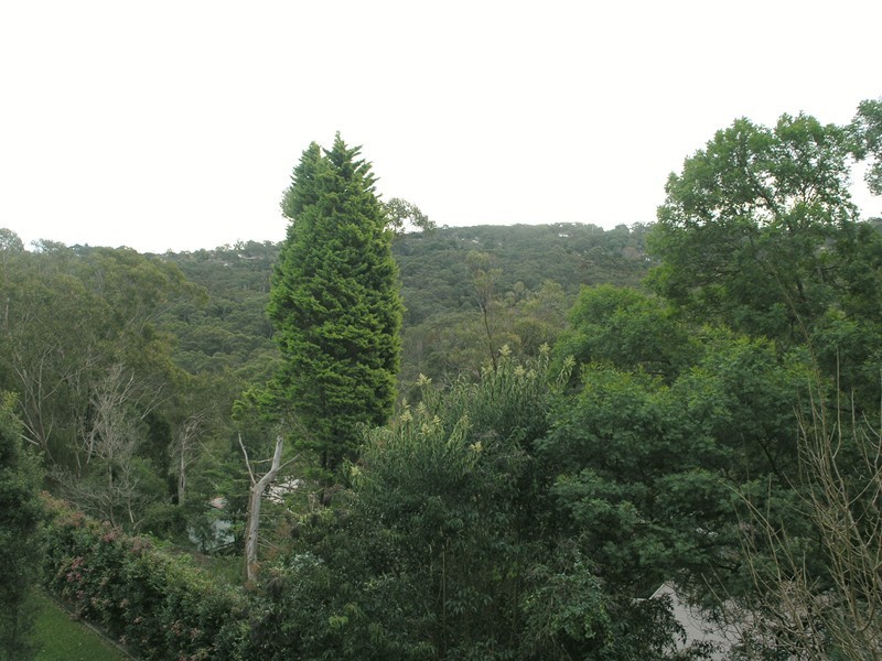 4 Wakely Place, Forestville NSW 2087