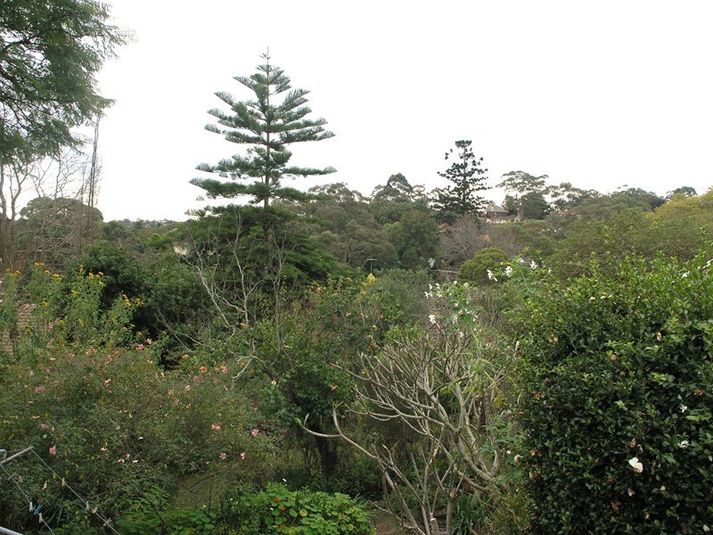 33 Centennial Avenue, Chatswood NSW 2067