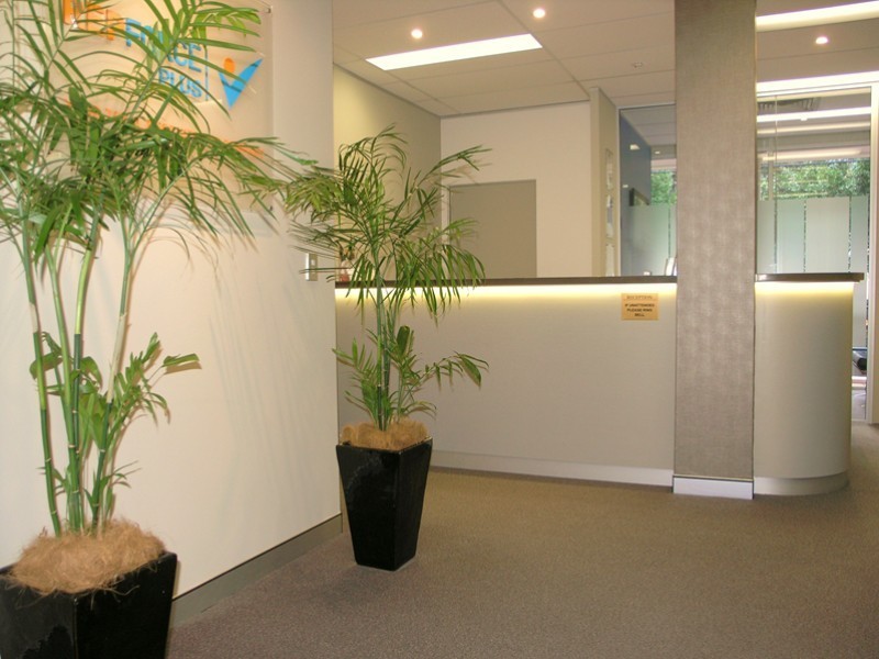 6 McIntosh Street, Chatswood NSW 2067