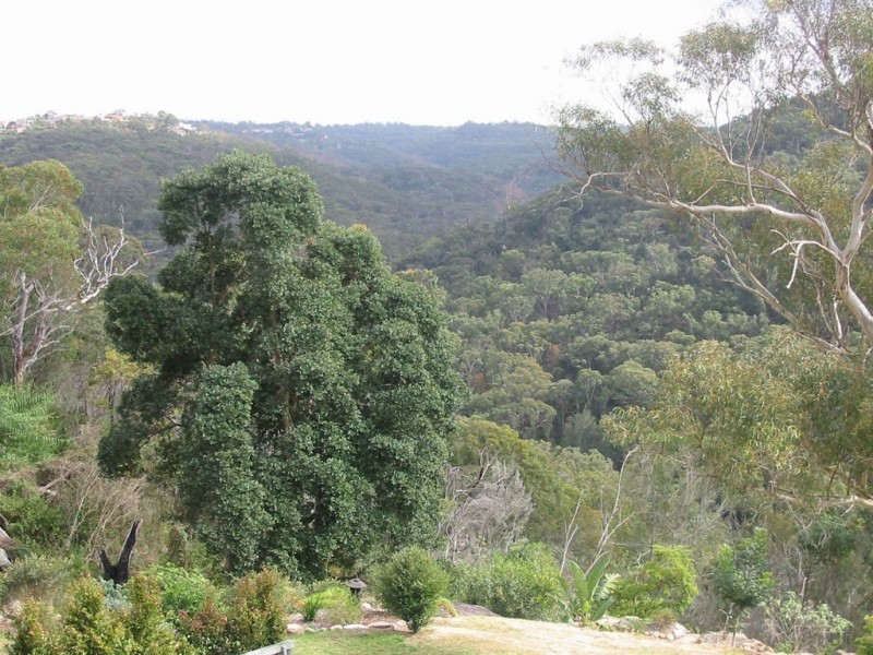 54 Milham Crescent, Forestville NSW 2087