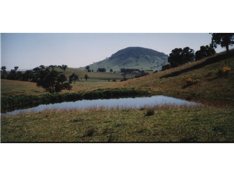 Mudgee NSW 2850