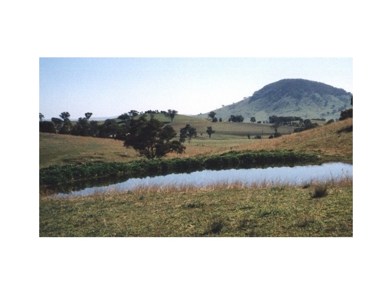 Mudgee NSW 2850