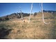 Mudgee NSW 2850