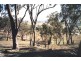 Mudgee NSW 2850