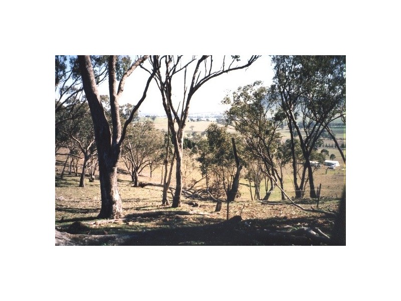 Mudgee NSW 2850