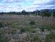 Aarons Pass NSW 2850