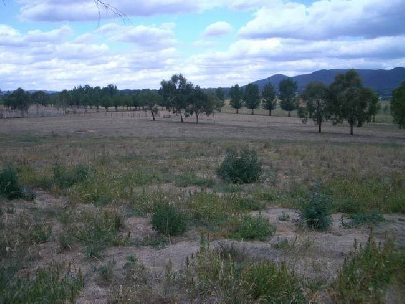 Aarons Pass NSW 2850