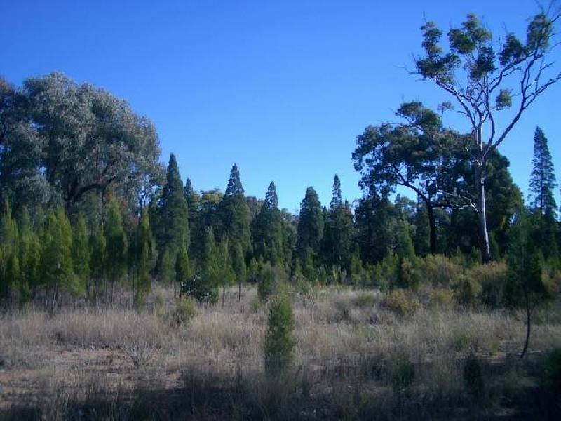 Aarons Pass NSW 2850