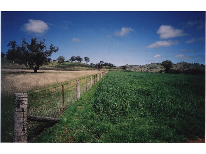 Mudgee NSW 2850