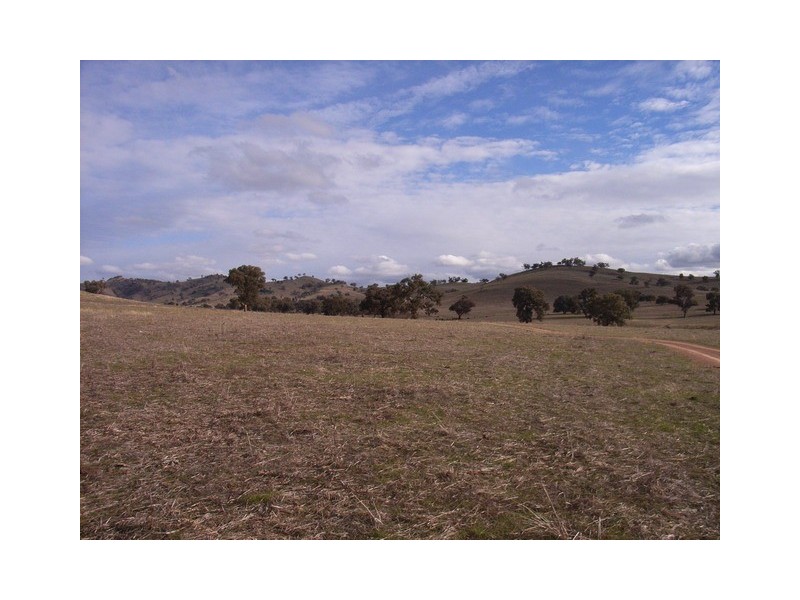 Mudgee NSW 2850
