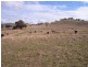 Mudgee NSW 2850
