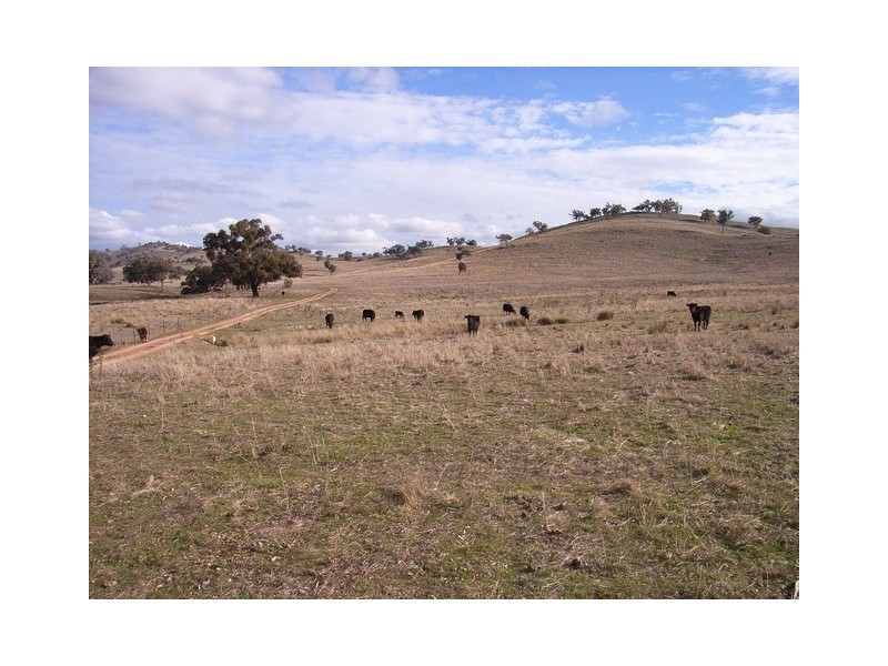 Mudgee NSW 2850