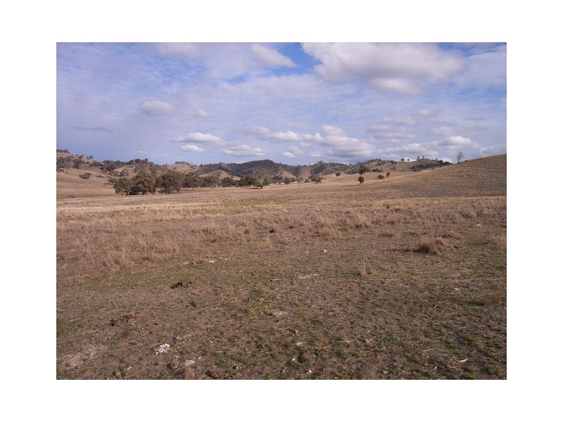 Mudgee NSW 2850