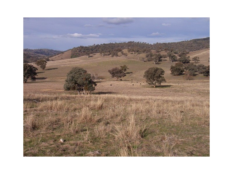 Mudgee NSW 2850