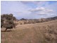Mudgee NSW 2850
