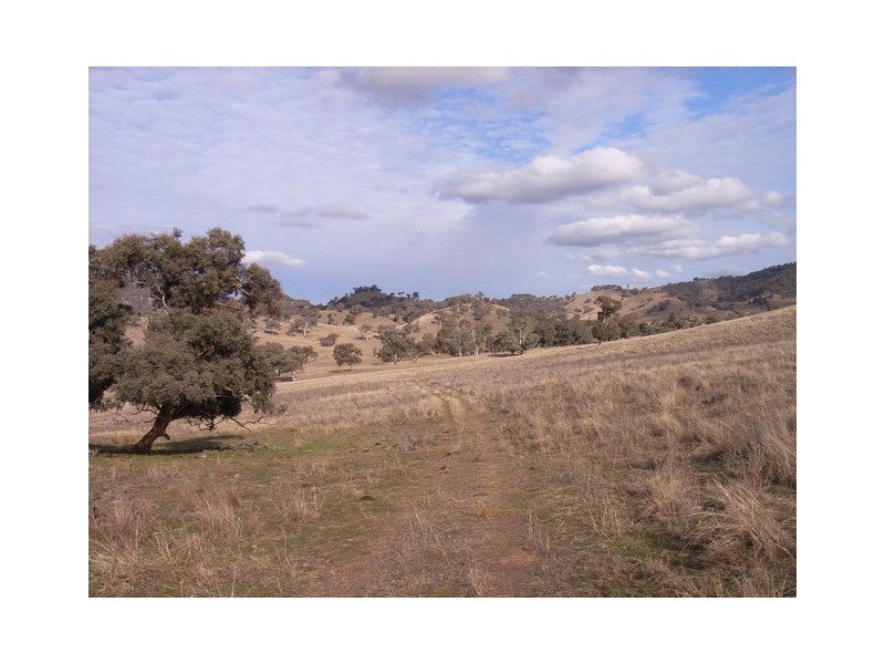 Mudgee NSW 2850