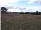 Mudgee NSW 2850