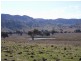 Mudgee NSW 2850