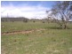 Mudgee NSW 2850