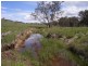 Mudgee NSW 2850