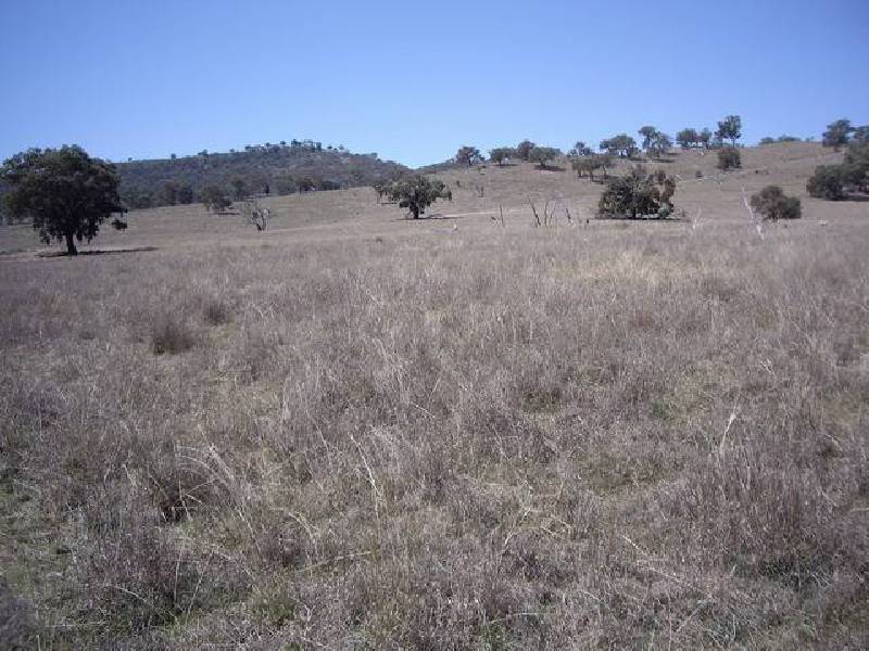 Mudgee NSW 2850