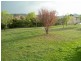 Mudgee NSW 2850