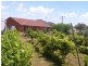 Mudgee NSW 2850