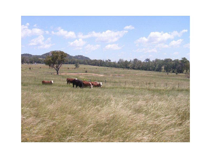 Mudgee NSW 2850